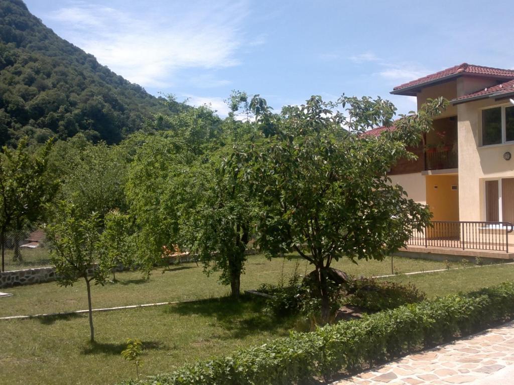 Villa Nanevi Teteven Bagian luar foto