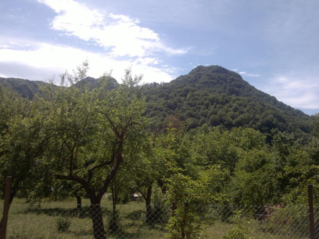 Villa Nanevi Teteven Bagian luar foto