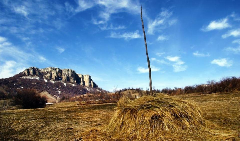 Villa Nanevi Teteven Bagian luar foto